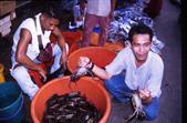 crabes crabes