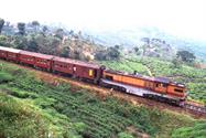 Haputale le train Haputale le train