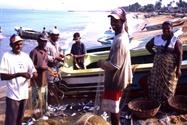 pécheurs de Négombo pécheurs de Négombo