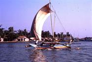 catamaran à Négombo