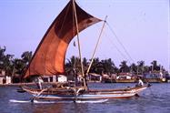 catamaran à Négombo