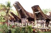 Sulawesi tongkonan Sulawesi tongkonan
