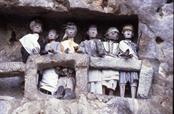 effigies effigies