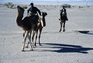 vers la frontière du Pakistan vers la frontière du Pakistan