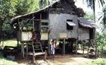 maison sur Palawan maison sur Palawan