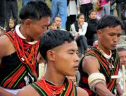 festival du toucan