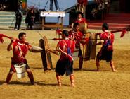 festival du toucan