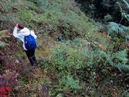la descente la descente