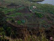 lac Loktac