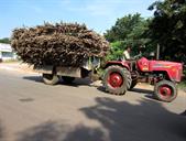 chargement de canne à sucre
