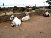 village d'Aihole