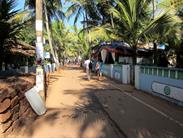 Agonda