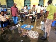 Kochi marché aux poissons