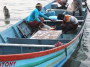 Kochi retour de pèche