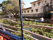 un canal d'Alleppey