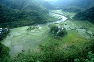 de Banaue à Mayoyao