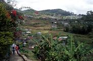 Sagada chemin pour Bomok-Ok Sagada chemin pour Bomok-Ok