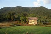 Sibuyan Sibuyan