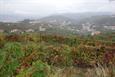 vignoble du Douro vignoble du Douro