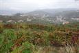 vignoble du Douro