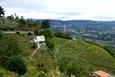 vignoble du Douro