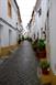 Elvas Elvas