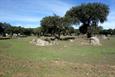 entre Elvas et Evora entre Elvas et Evora