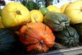courges vers Mertola courges vers Mertola