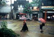 Deniyaya sous la pluie Deniyaya sous la pluie