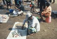 marché marché