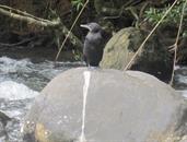 corrmoran corrmoran