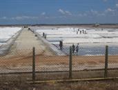 marais salants Kalpitiya marais salants Kalpitiya