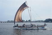 catamaran Negombo catamaran Negombo