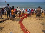 Negombo remontée des filets Negombo remontée des filets