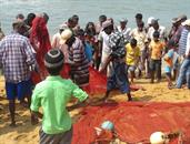 Negombo remontée des filets Negombo remontée des filets