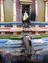 temple Gokana temple Gokana