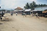 de Trincomale à Batticaloa village de Trincomale à Batticaloa village