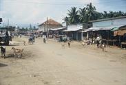 de Trincomale à Batticaloa village