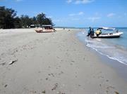 Karaitivu plage Kasuarina