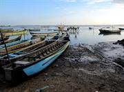 Mannar