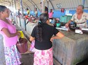 marché aux poissons Negombo