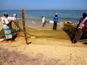 pècheurs Negombo