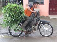Jalan Rathambore Medan Jalan Rathambore Medan