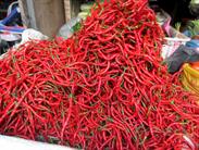 piments piments