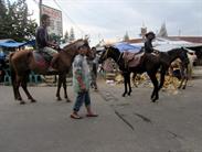 Chevaux à louer Berastagi