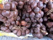 snake fruit