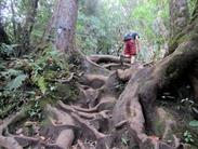 montée au volcan Sinnabung