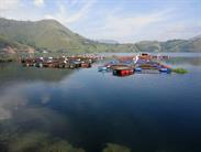 lac Toba et cages à poissons