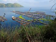 lac Toba et cages à poissons lac Toba et cages à poissons