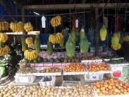 fruits tropicaux fruits tropicaux